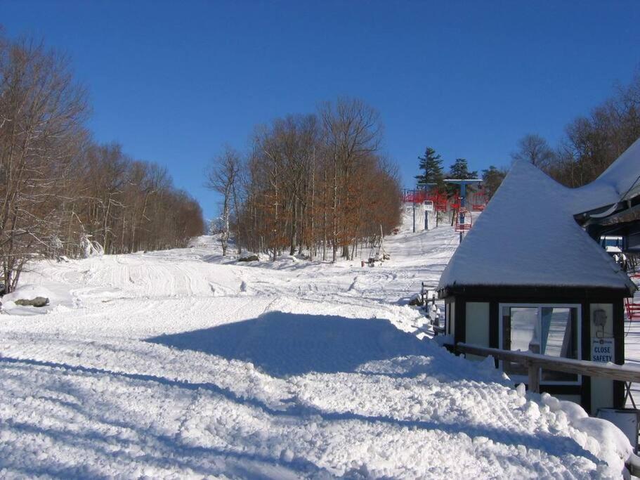 Holiday home Spacious Design In Woods - Bushkill-poconos